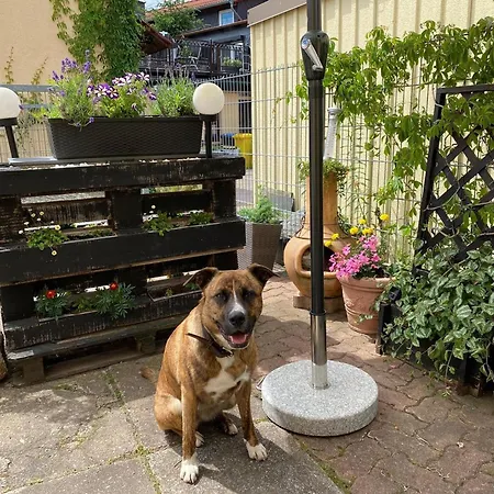 In Holiday home Wernigerode