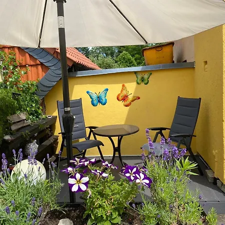 Modern In With Terrace *