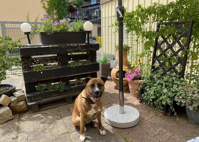 In Ferienhaus Wernigerode